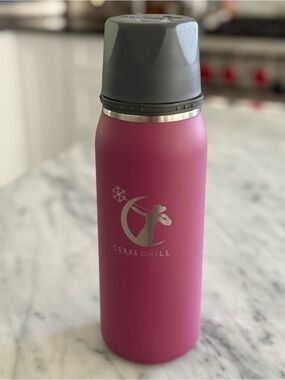 Ceres Chill Insulated Bottle Chiller - Plum